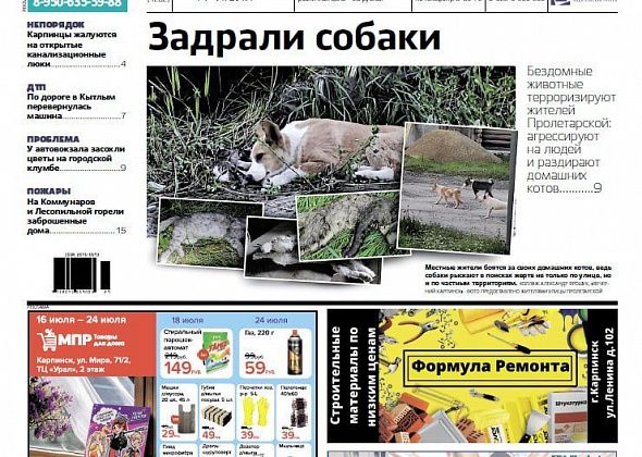 Про агрессию бездомных собак, пожары в заброшках и засохшие цветы читайте в «Вечернем Карпинске»