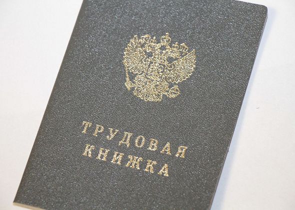 15 вакансий в Карпинске без опыта работы: где платят от 32 512 до 84 000 рублей