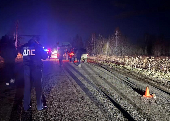 В Карпинске осудили волчанца, который насмерть сбил человека и уехал, оставив труп на обочине