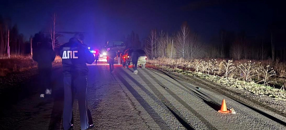 В Карпинске осудили волчанца, который насмерть сбил человека и уехал, оставив труп на обочине