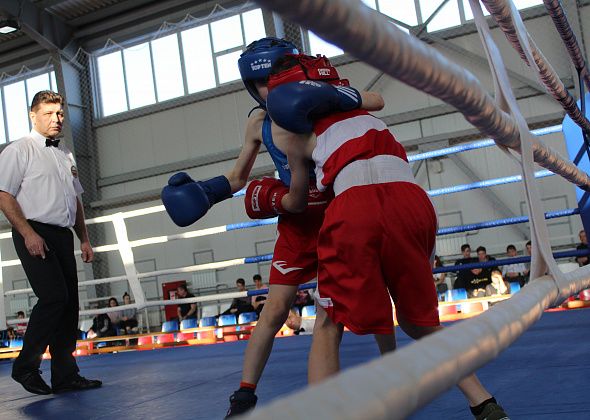 В Карпинске прошел открытый турнир по боксу