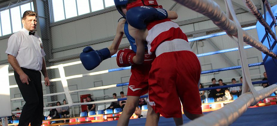 В Карпинске прошел открытый турнир по боксу