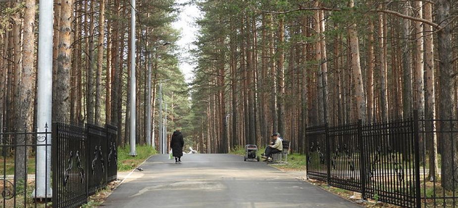 Чиновники попросили беречь парк и не хулиганить
