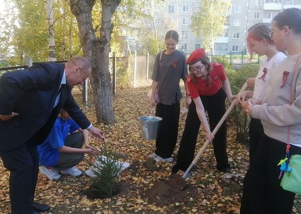 Воспитанники ЦДМ высадили вокруг учреждения саженцы ели