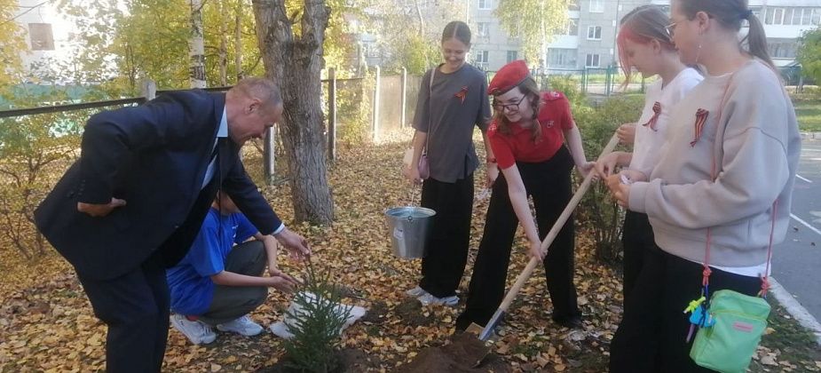 Воспитанники ЦДМ высадили вокруг учреждения саженцы ели