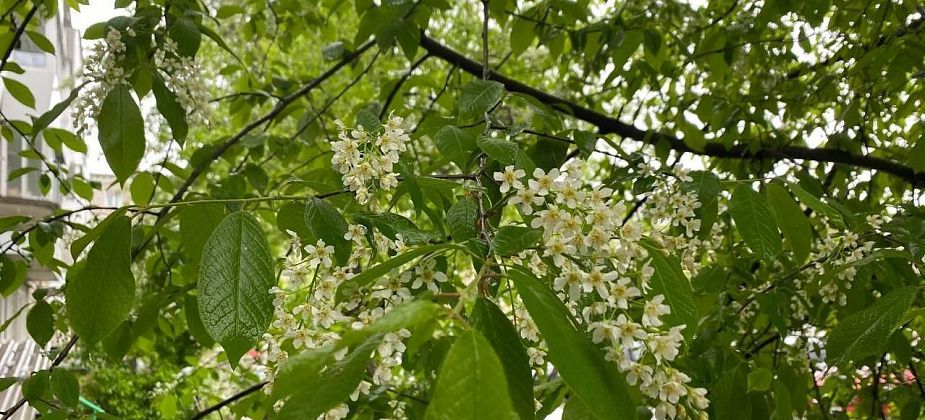 Синоптик: на севере региона будет много осадков и холодно