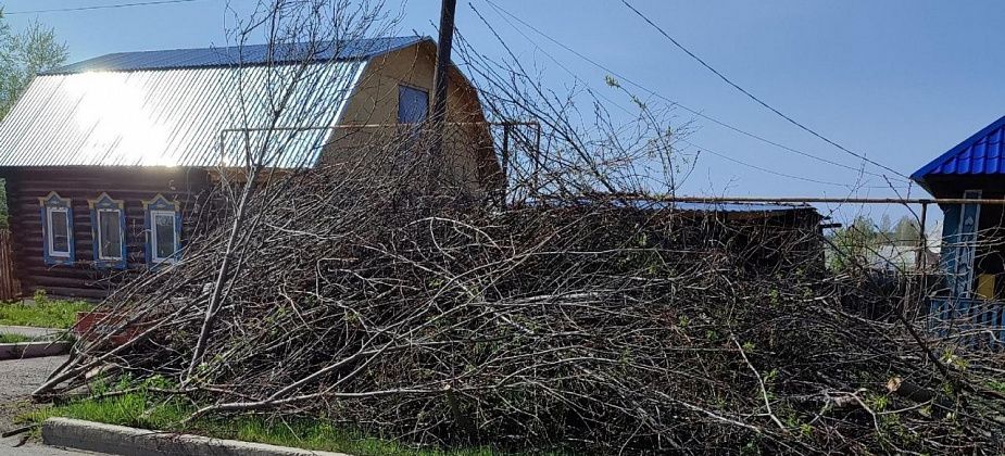 Карпинцы жалуются на неубранные спиленные ветки на улицах