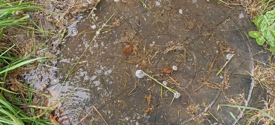 На Лермонтова коммунальщики откачали воду из затопленных колодцев