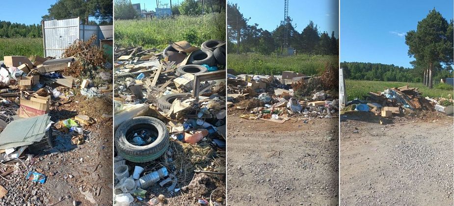 Люди жалуются на состояние мусорной площадки у кладбища: одного вывоза в неделю недостаточно
