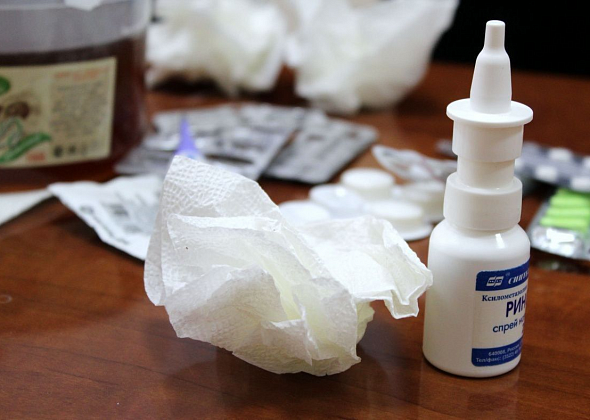 С начала осени в Карпинске ОРВИ заболело более 70 человек