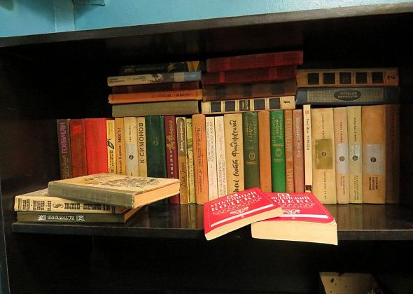 В Карпинске стартовала акция «Верни книги в библиотеку!»