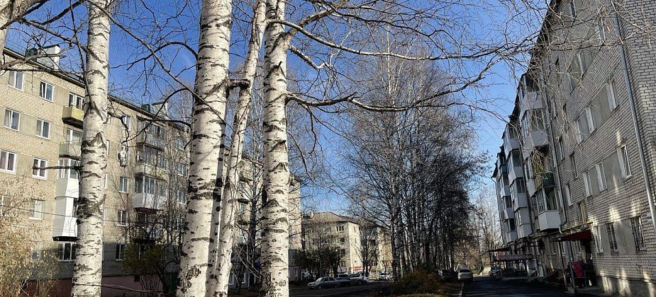 До конца октября температура воздуха на севере области будет близка к нулю градусам