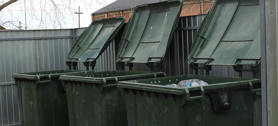 Мэрия сообщает о недопустимости размещения трупов животных на контейнерных площадках