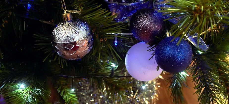 Карпинская семья получит подарки с «Елки желаний» от вице-премьера России