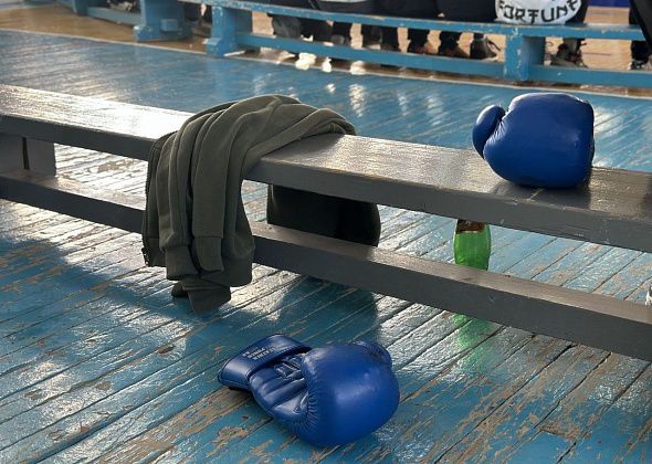 Карпинские боксеры привезли из Североуральска 17 медалей
