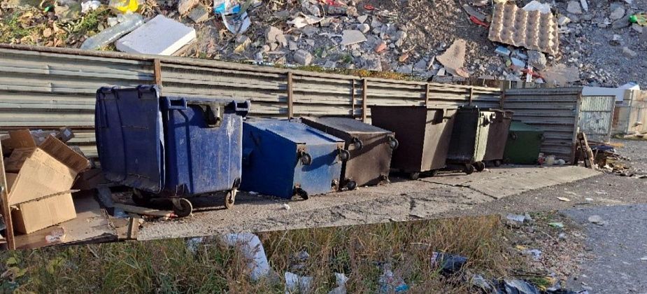 Горожане жалуются на обилие мусора рядом с детской площадкой по Карпинского