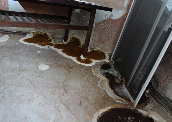 В Карпинске домом с грибами на Ленина заинтересовались в СКР. Возбуждено уголовное дело