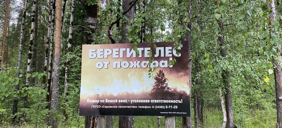 Делайте опашку, убирайте сухую траву: администрация призывает готовиться к пожароопасному сезону
