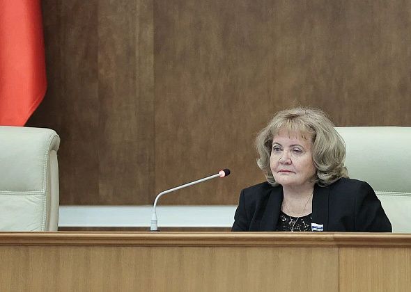 Региональные депутаты внесли поправки в законы, направленные на увеличение темпов газификации