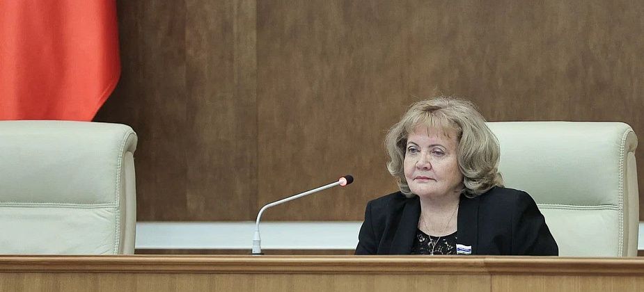Региональные депутаты внесли поправки в законы, направленные на увеличение темпов газификации