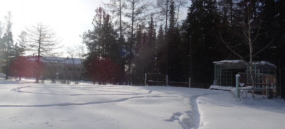 Что вы хотите видеть в парке Угольщиков и на центральной площади города?