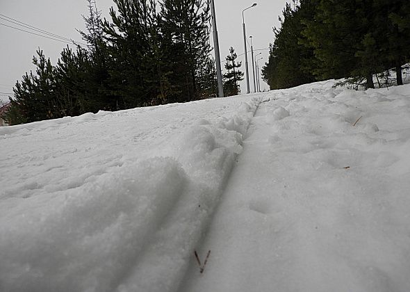Горожан призывают не топтать лыжню в Комсомольском парке