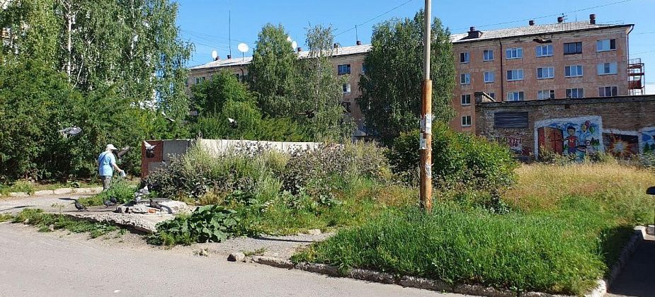 Жильцы дома по Мира требуют покосить траву возле контейнерной площадки