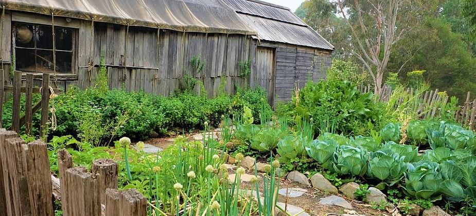 Полиция Карпинска призывает садоводов не выращивать коноплю