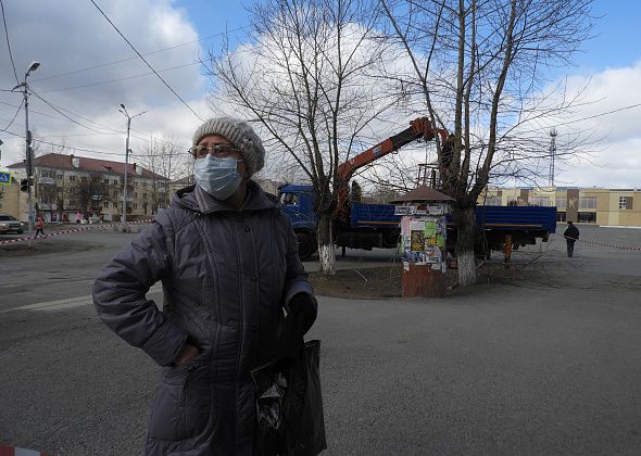 В Карпинске неравнодушная пенсионерка уговаривала рабочих не пилить тополя на Мира