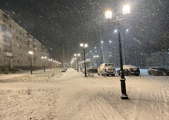 Синоптики обещают сильные снегопады на севере области