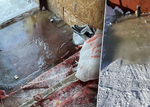 «Пришлось уехать из дома»: жителей частного дома второй день заливает водой из-за утечки по Советской