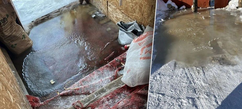 «Пришлось уехать из дома»: жителей частного дома второй день заливает водой из-за утечки по Советской