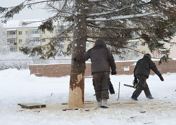 В Карпинске устанавливают городскую елку и начали строить новогодний городок