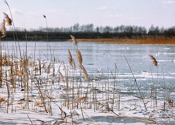 В Карпинске обследуют и проверят на прочность Нижне-Княсьпинское гидротехническое сооружение
