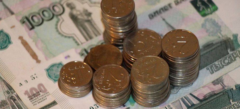 В Госдуме приняли закон о штрафах за неправильное обращение с животными